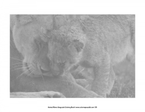 Animal Moms Grayscale Coloring Book Pic 05