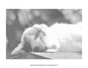 Cozy Cats Grayscale Coloring Book Pic 05