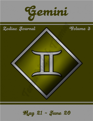 Gemini Zodiac Journal Volume 3 Pic 01